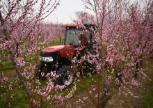 Hinterrad-Traktoren Case IH Farmall 100N