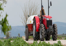 Hinterrad-Traktoren Massey Ferguson MF 2615