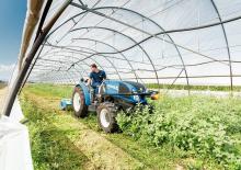 Hinterrad-Traktoren New Holland T3.60F