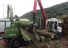 Holzhäcksler Pezzolato PTH 1400/820