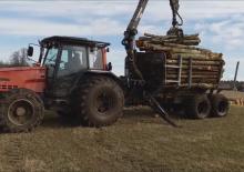 Holzladekrane Foresteri 500-2