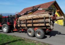 Holzladekrane Farmi HK 4166 P