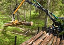Holzladekrane Moheda M 50