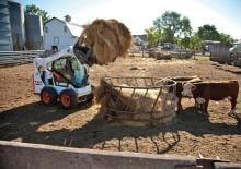 Kompaktlader Bobcat S590