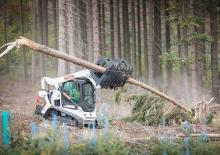 Kompaktlader Bobcat T590