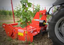 Kreiseleggen Maschio Delfino 1800