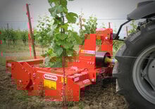 Kreiseleggen Maschio Delfino 2000