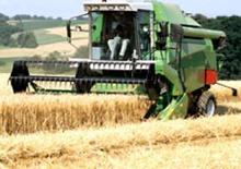 Mähdrescher DEUTZ-FAHR 5445 H