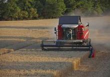 Mähdrescher Massey Ferguson Activa 7345 S