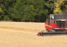Mähdrescher Massey Ferguson Delta 9280