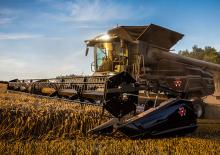 Mähdrescher Massey Ferguson Ideal 9