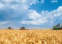 Mähdrescher Claas Lexion 600