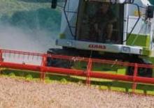 Mähdrescher Claas Medion 310