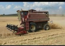 Mähdrescher Case IH 1480