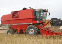 Mähdrescher Massey Ferguson 40 RS