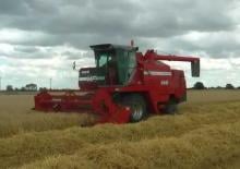 Mähdrescher Massey Ferguson 665