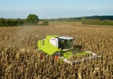 Mähdrescher Claas Avero 160
