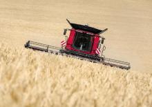 Mähdrescher Case IH Axial Flow 8250