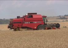 Mähdrescher Case IH CT 5080 A1