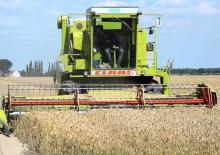 Mähdrescher Claas Dominator 105