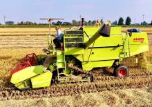 Mähdrescher Claas Dominator 80