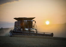 Mähdrescher Massey Ferguson Ideal 8 PL