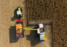 Mähdrescher-Maispflücker Claas 12-30c