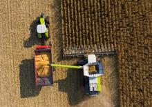 Mähdrescher-Maispflücker Claas 16-30