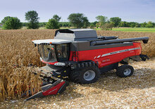 Mähdrescher-Maispflücker Massey Ferguson CF 670R
