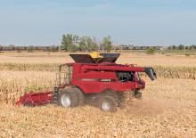 Mähdrescher-Maispflücker Case IH CIH 4406F 80