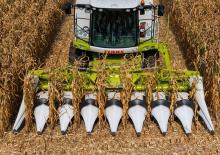 Mähdrescher-Maispflücker Claas Corio 575 C