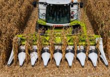 Mähdrescher-Maispflücker Claas Corio 670 FC