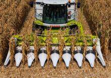 Mähdrescher-Maispflücker Claas Corio 870 FC