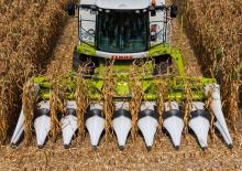 Mähdrescher-Maispflücker Claas Corio 870 FC