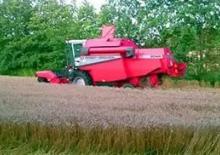Mähdrescher Massey Ferguson MF 2045