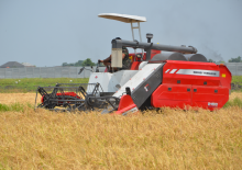 Mähdrescher Massey Ferguson MF 2168