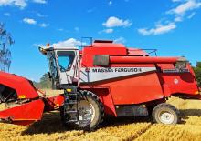 Mähdrescher Massey Ferguson MF 7238