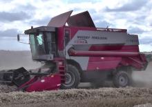 Mähdrescher Massey Ferguson MF 7274 AL
