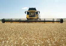 Mähdrescher-Schneidwerk New Holland 6,10M/20FT HC