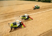 Mähdrescher Claas Trion 650 Terra Trac