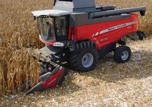 Mähdrescher-Maispflücker Massey Ferguson CF 675F