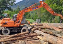 Mobilbagger Fiat Kobelco EX 95 WM