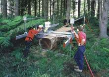 Mobile Sägewerke Peterson ATS 8