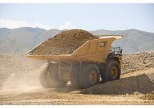 Muldenkipper-SKW Caterpillar 793F