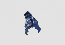 Multiprozessoren Daemo DMP230CMS