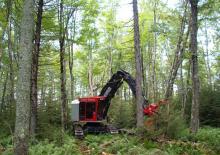 Raupenbagger Tanguay TG360