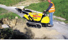 Raupendumper Yanmar 80 HI