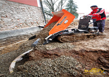 Raupendumper Cormidi C 100