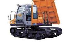 Raupendumper Hitachi EG 70 R