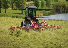 Rotorzettwender Massey Ferguson TD868 DN